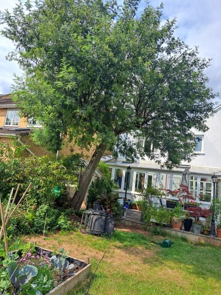 68 Derby Road